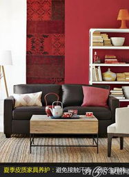 夏季家居保養(yǎng)全攻略 布藝與皮質家具的養(yǎng)護指南